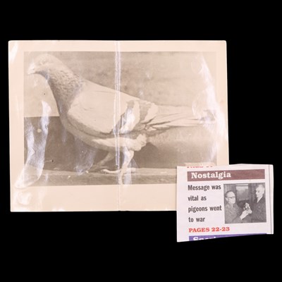 Lot 195 - A PDSA Dickin medal awarded to the homing...