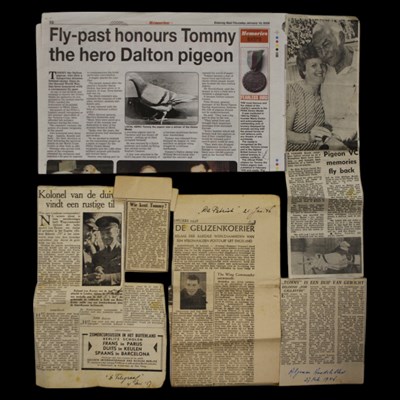 Lot 195 - A PDSA Dickin medal awarded to the homing...