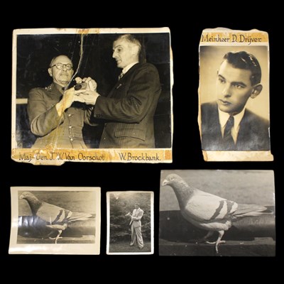 Lot 195 - A PDSA Dickin medal awarded to the homing...