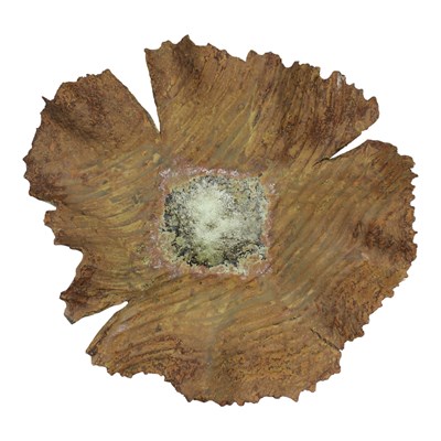 Lot 1019 - Steve Valentine (Cumbrian, contemporary) "Red...