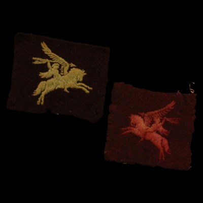 Lot 193 - Two British Army Airborne Division pegasus...