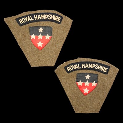 Lot 215 - A pair of Royal Hampshire Regiment Southern...