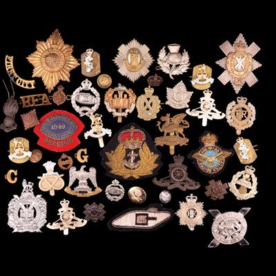 Lot 169 - British and other military cap badges and...