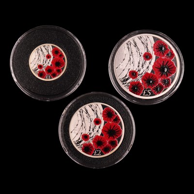 Lot 600A - A Jubilee Mint 2019 Remembrance Day silver...