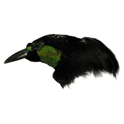 Lot 676 - [Taxidermy / Millinery] A late 19th / early...