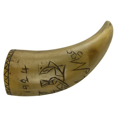 Lot 536 - A 1924 "scrimshaw" calf horn, bearing a...