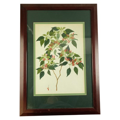 Lot 1151 - A late 18th / early 19th Century Company...