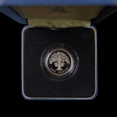 Lot 359 - A Royal Mint UK 1987 silver proof one pound £1...