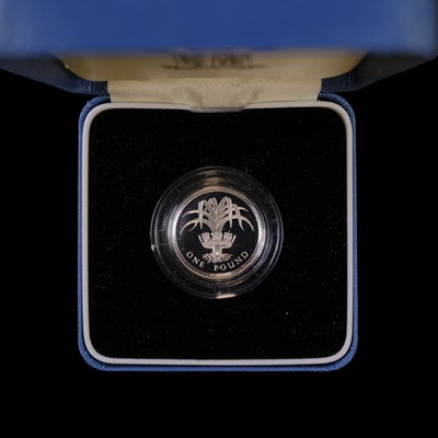 Lot 360 - A Royal Mint UK 1985 silver proof one pound £1...