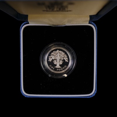 Lot 364 - A Royal Mint UK 1992 silver proof one pound £1...