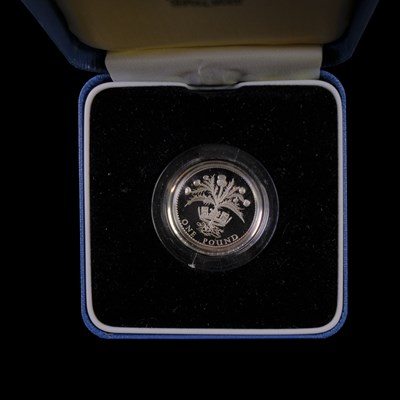 Lot 366 - A Royal Mint UK 1984 silver proof one pound £1...