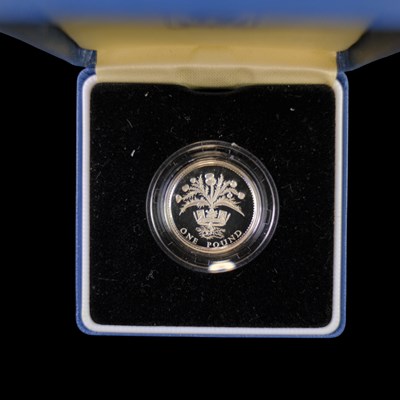 Lot 367 - A Royal Mint UK 1989 silver proof one pound £1...
