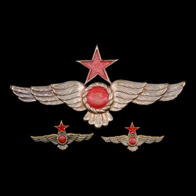 Lot 27 - Republican Spanish Air Force pilots' wings,...