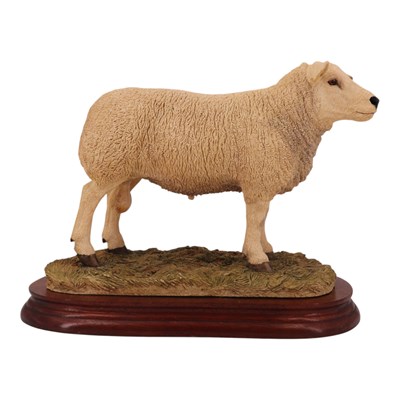 Lot 1041 - A Border Fine Arts "Texel Ram", model B0530,...