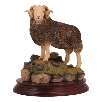 Lot 1045 - A Border Fine Arts "Herdwick Tup", model B0705,...
