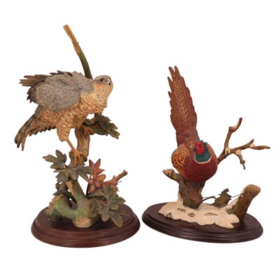 Lot 1055 - A Country Artists "Sparrowhawk with Field...