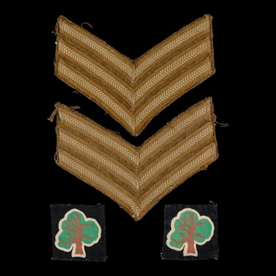Lot 147 - A pair of Second World War 46th Infantry...