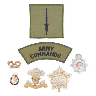 Lot 555 - National Fire Service and other cap badges and...