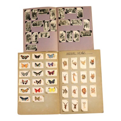 Lot 425 - Two albums of cigarette cards, including...
