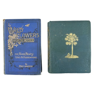 Lot 337 - [Botany] Berthold Seeman, "Popular History of...