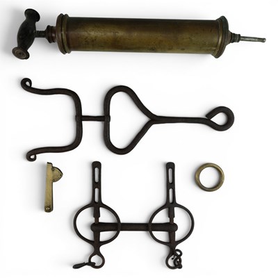 Lot 498 - [Animal husbandry] A 19th Century veterinary...