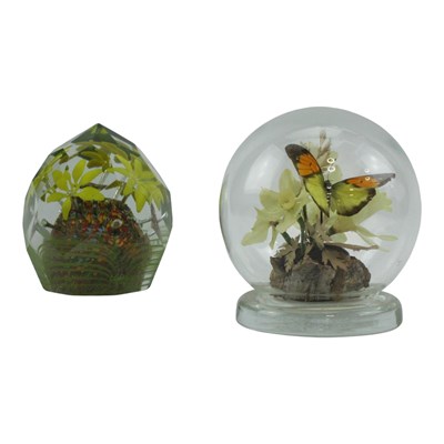 Lot 1091 - A butterfly and blossom specimen and one other...