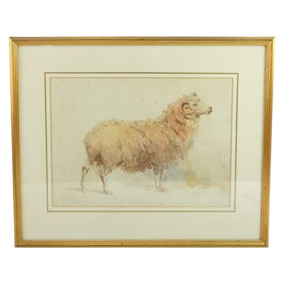 Lot 1412 - William Cook (Plymouth, b.1840), "Study of a...
